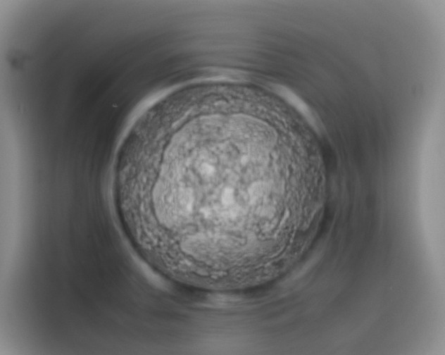 X0000113851379200910010952