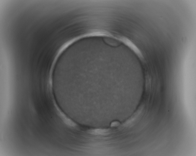 X0000113851380200910010952