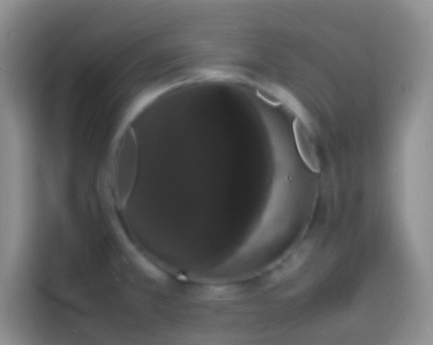 X0000113851381200910010952