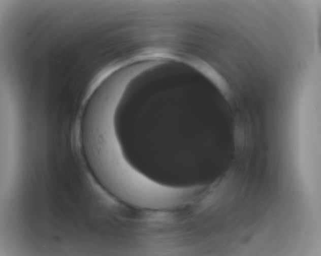 X0000113851382200910010952