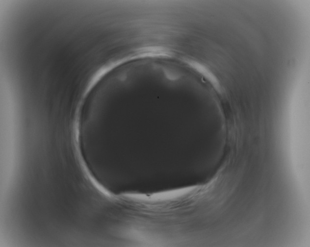 X0000113851383200910010952