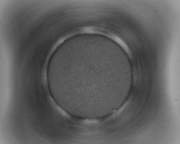 X0000113851384200910010952