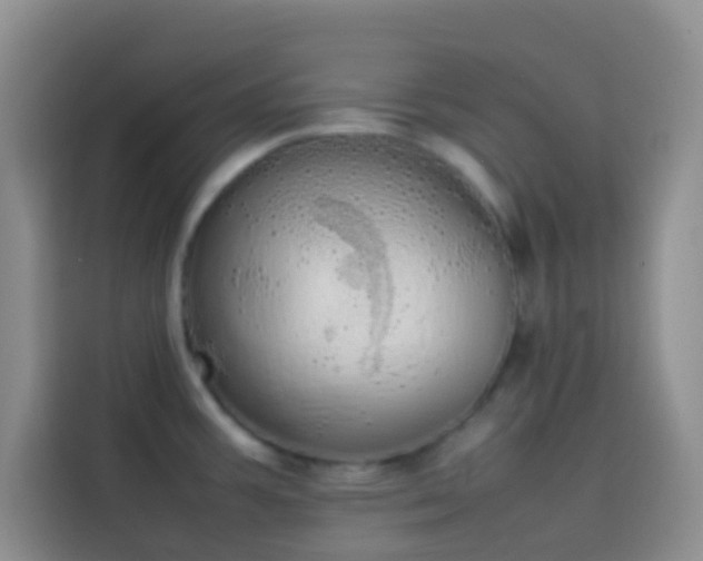 X0000113851387200910010952