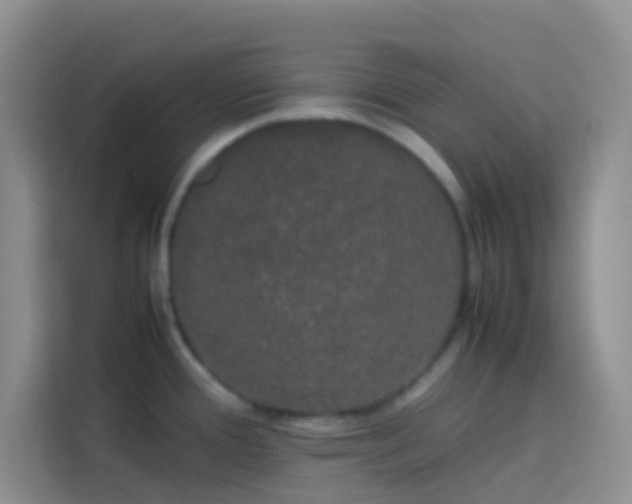 X0000113851388200910010952