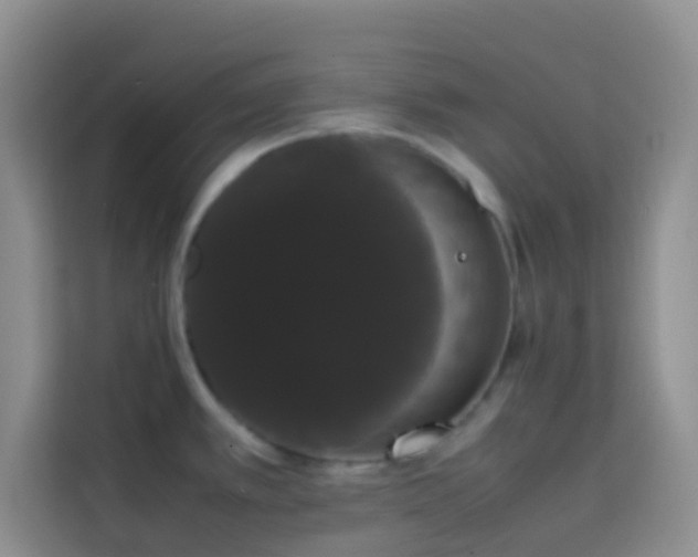 X0000113851389200910010952