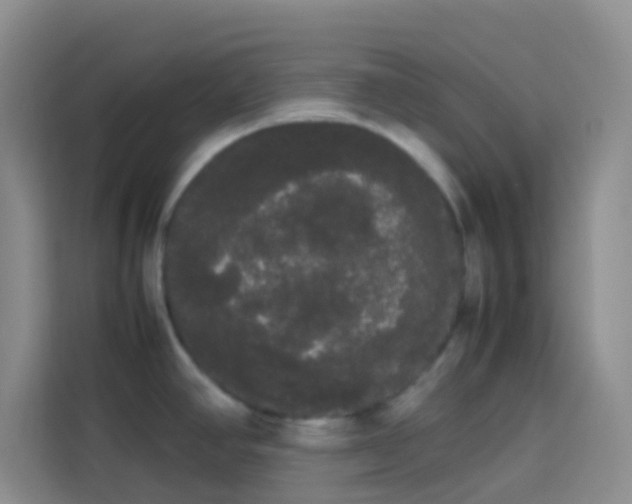 X0000113851390200910010952