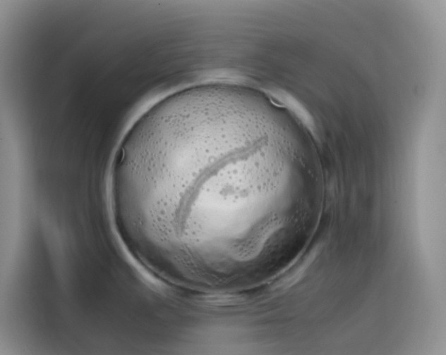 X0000113851391200910010952