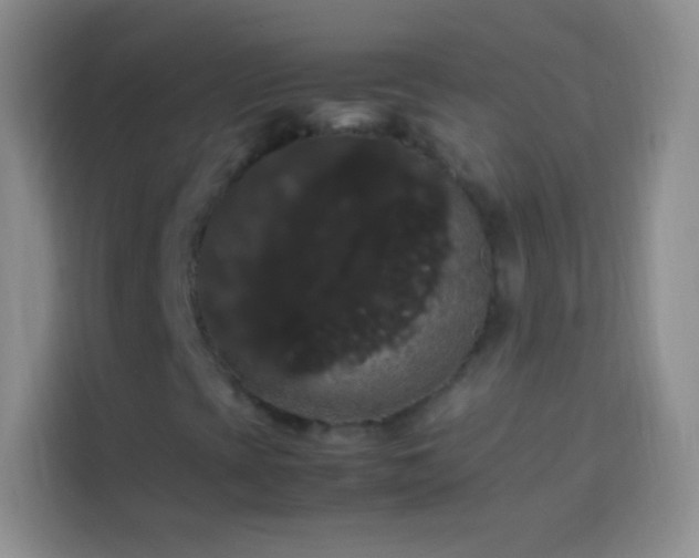 X0000113851393200910010951