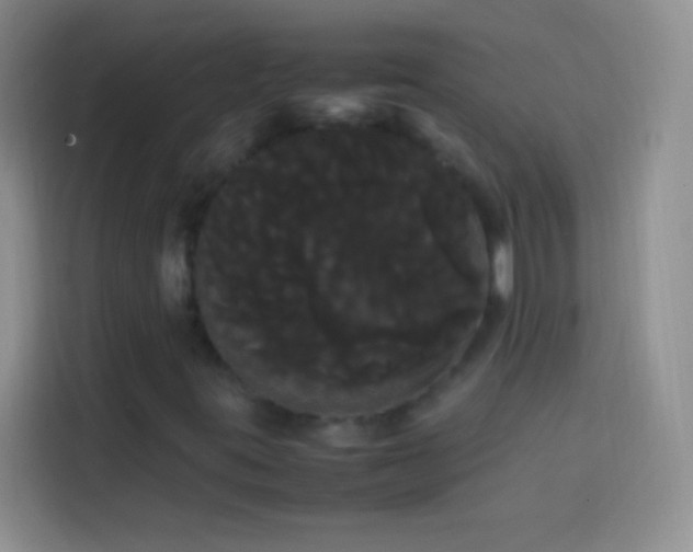 X0000113851395200910010951