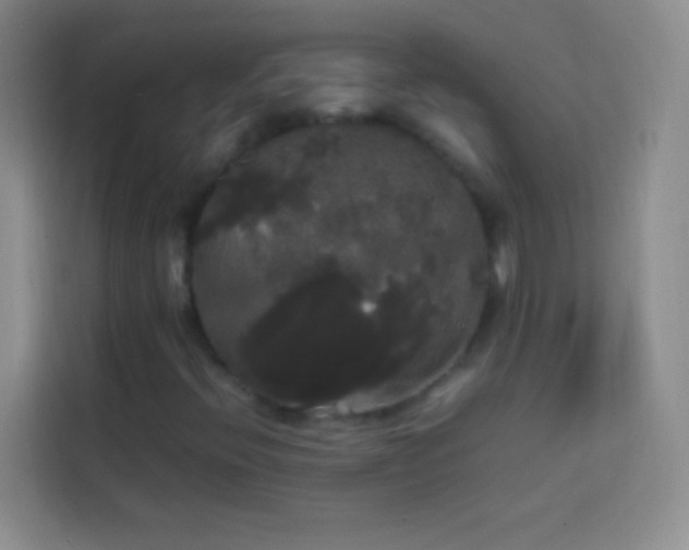 X0000113851396200910010951