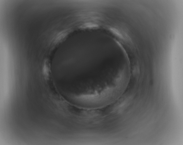 X0000113851397200910010951