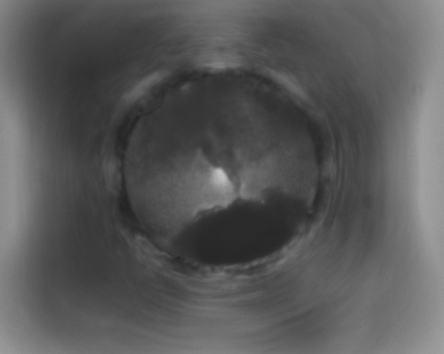 X0000113851398200910010951