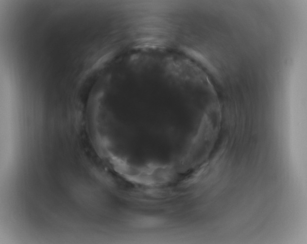 X0000113851399200910010951