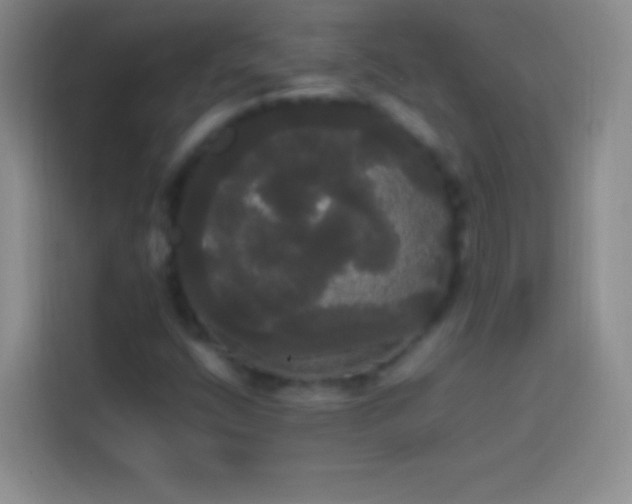 X0000113851400200910010951