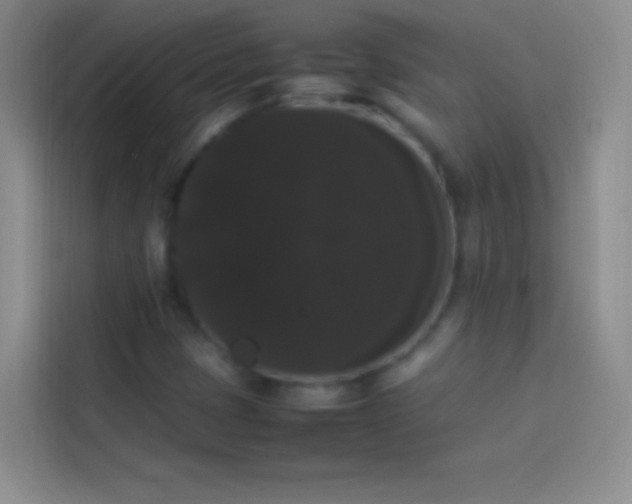 X0000113851401200910010951