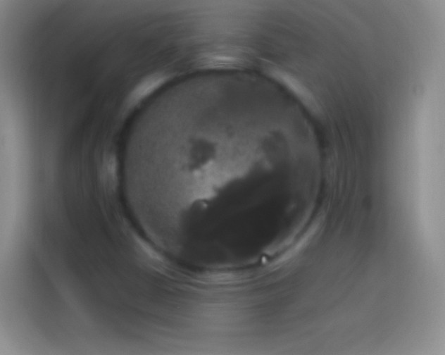 X0000113851402200910010951