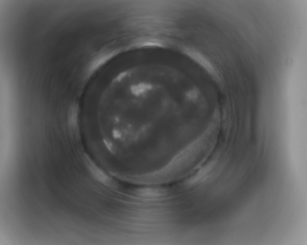 X0000113851404200910010951