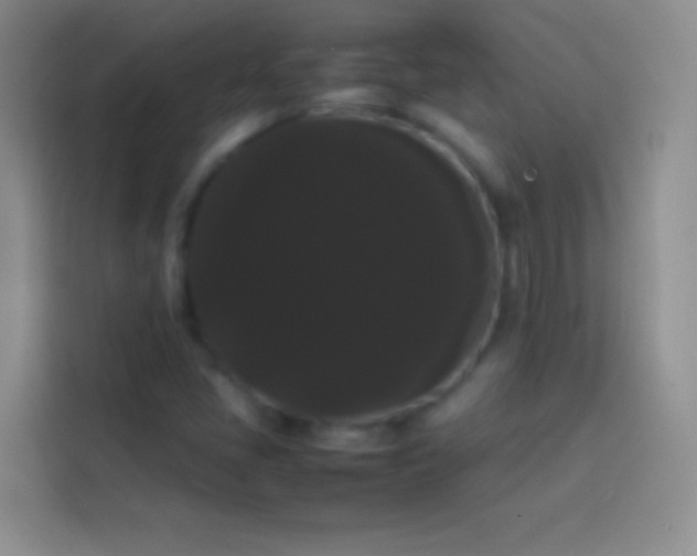 X0000113851405200910010951