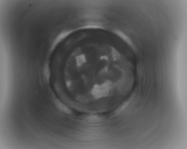 X0000113851408200910010951