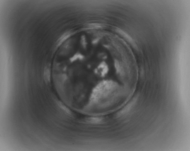 X0000113851409200910010951