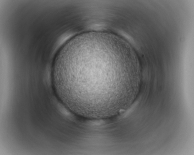 X0000113851410200910010951