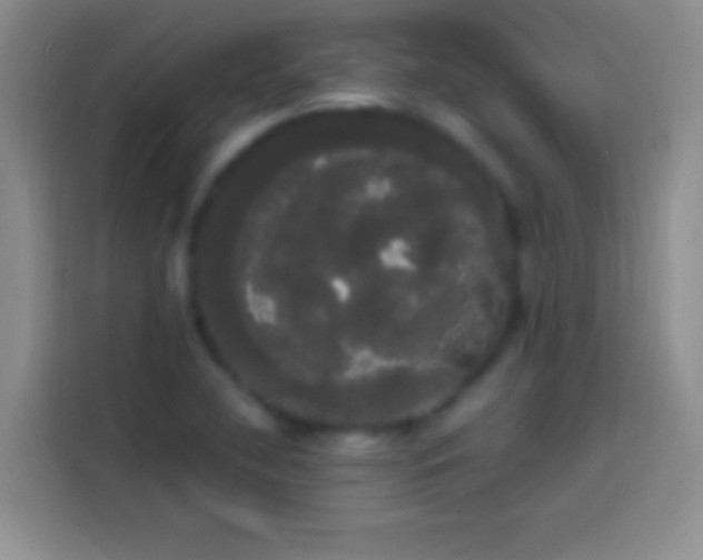 X0000113851412200910010951