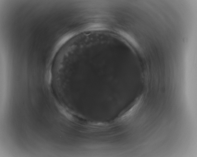 X0000113851413200910010951