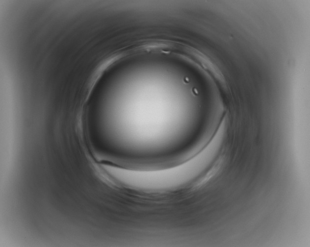 X0000113851417200910010952