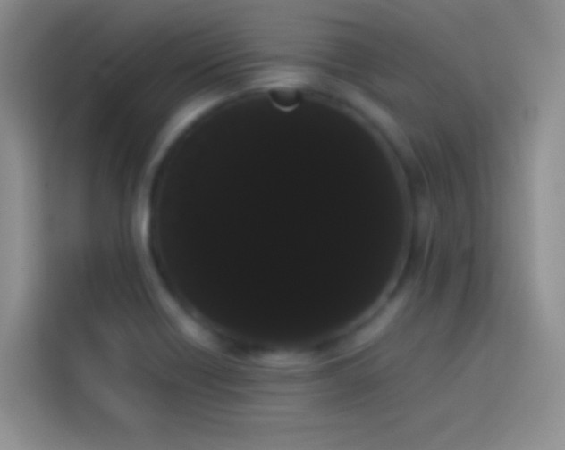 X0000113851418200910010952