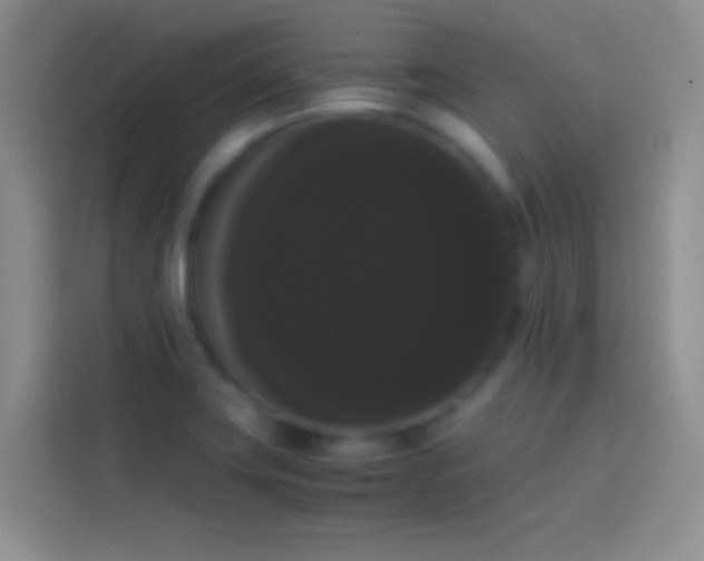 X0000113851419200910010952