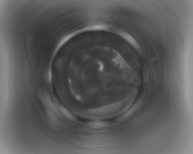 X0000113851420200910010952