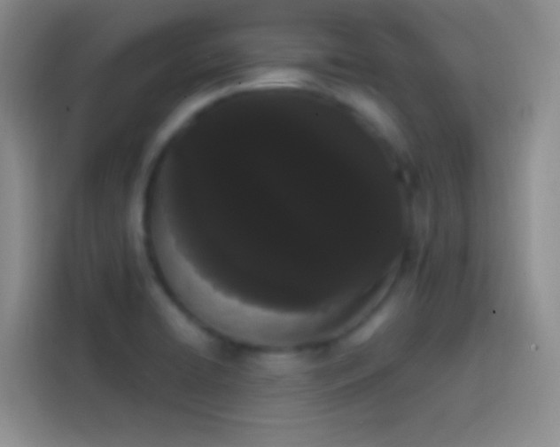 X0000113851422200910010952