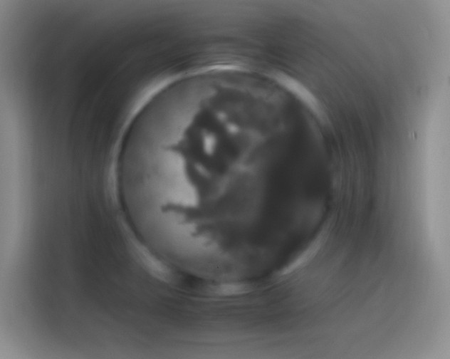 X0000113851423200910010952