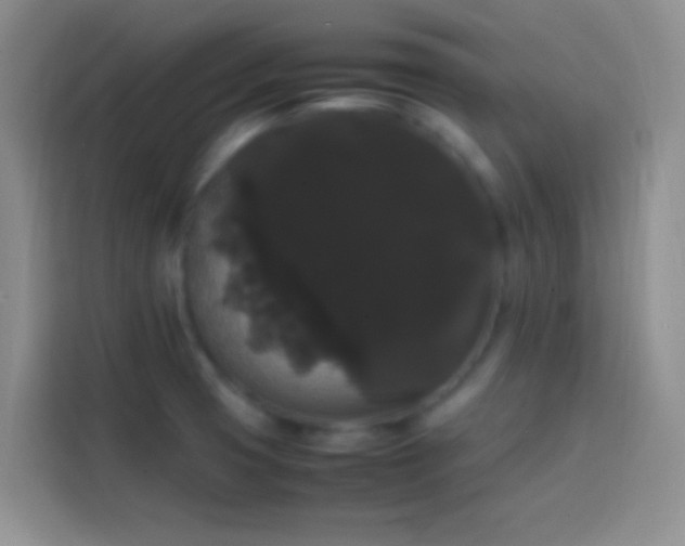 X0000113851425200910010952