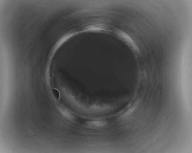 X0000113851427200910010952