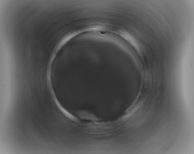 X0000113851429200910010952