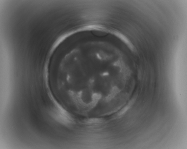 X0000113851430200910010952