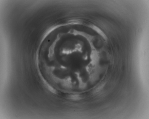 X0000113851431200910010952