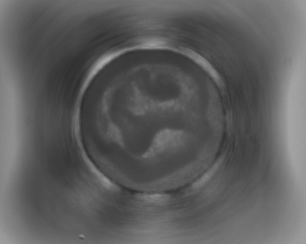 X0000113851432200910010952