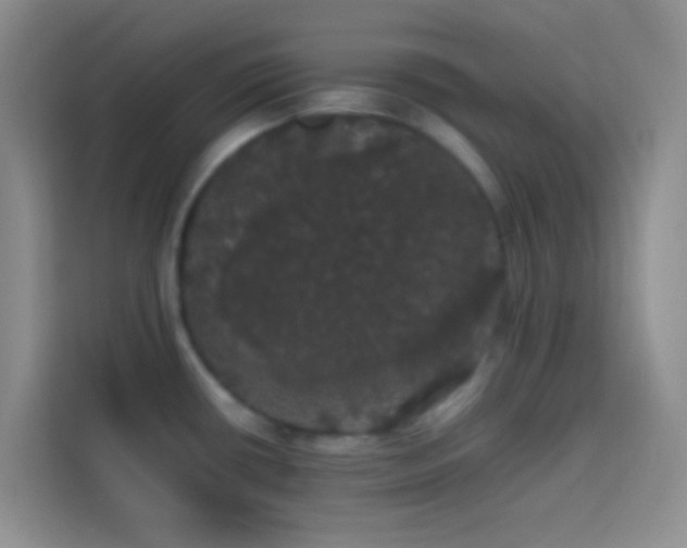 X0000113851434200910010952