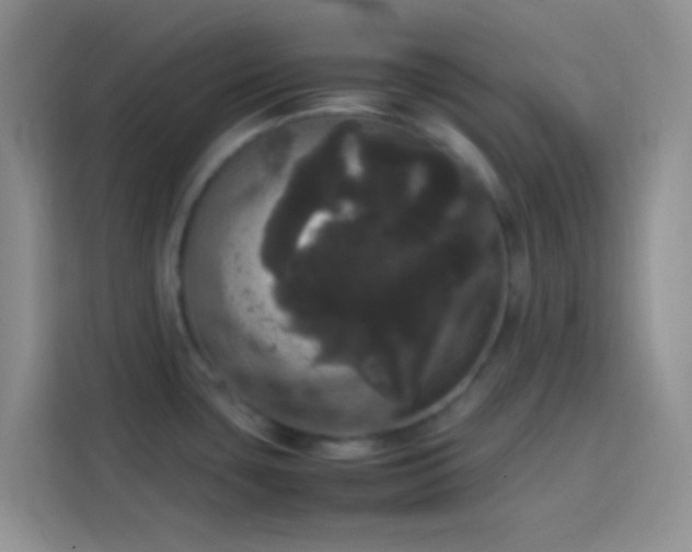 X0000113851435200910010952