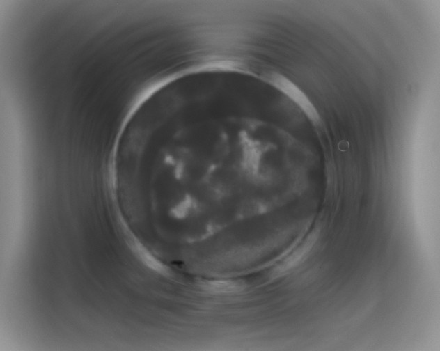 X0000113851436200910010952