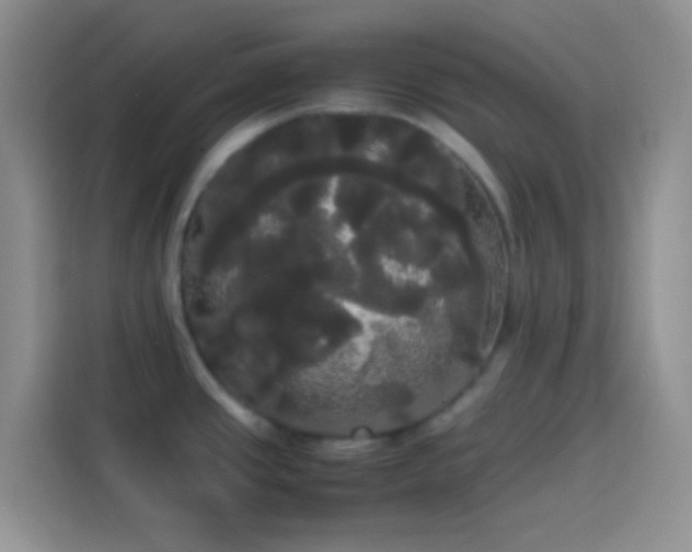 X0000113851437200910010952