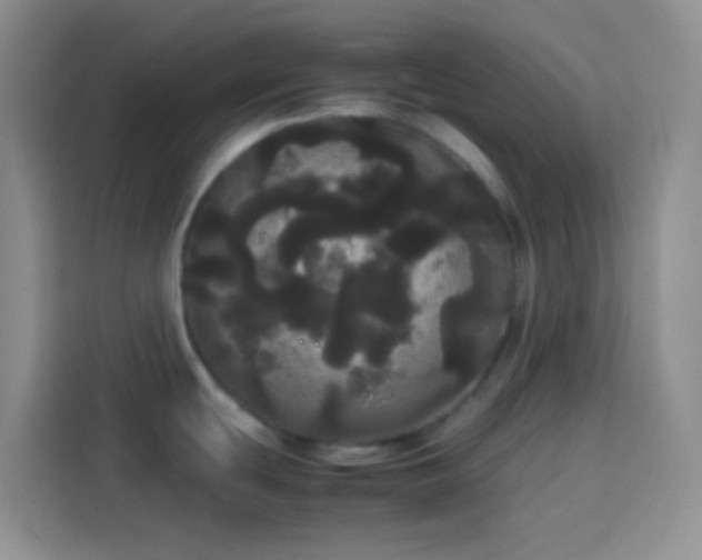 X0000113851439200910010952