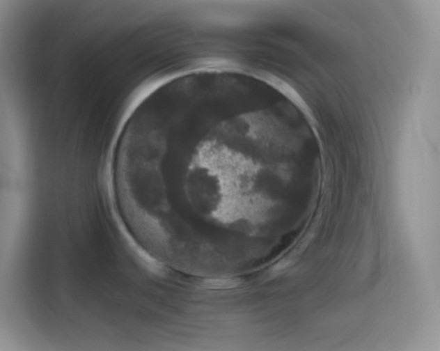 X0000113851440200910010952