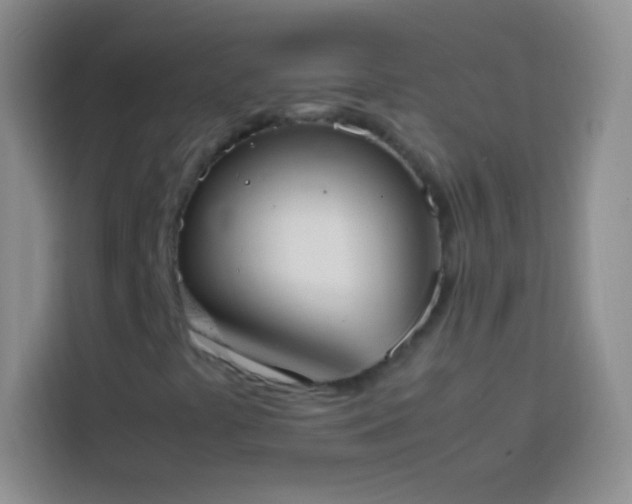 X0000113851441200910010951