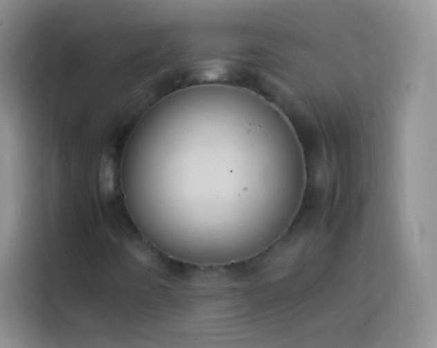 X0000113851442200910010951