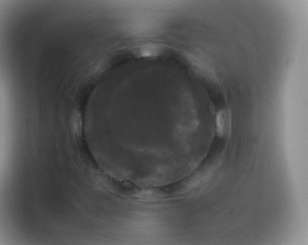 X0000113851443200910010951