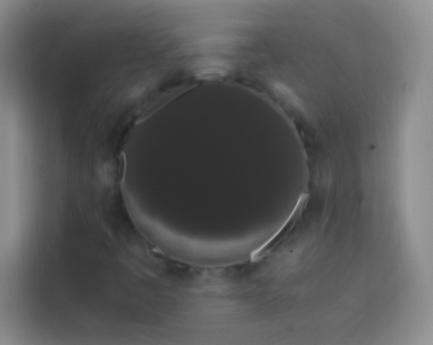 X0000113851445200910010951