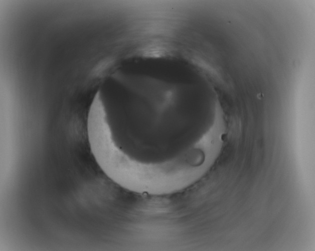 X0000113851446200910010951